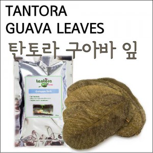 탄토라 구아바잎 (Tantora Guava Leaves 10 leaves/Bag) - 새우들을위한 자연영양