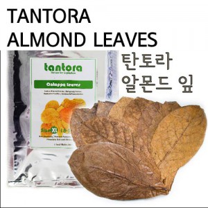 탄토라 알몬드 잎 18~30cm(Tantora Catappa Leaves , Size 18-30 cm. 10 Leaves/Bag) - 자연수로 바꾸어주는 신비의 피트머스!!