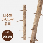 내추럴 가시나무 유목 (소) [20-30cm]